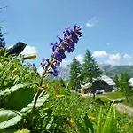 Szálloda Almhotel Kaernten Sonnenalpe Nassfeld