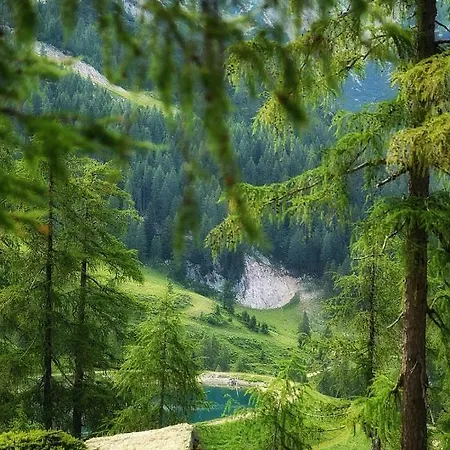 Almhotel Kaernten ホテル