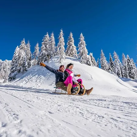 Almhotel Kaernten Hotel