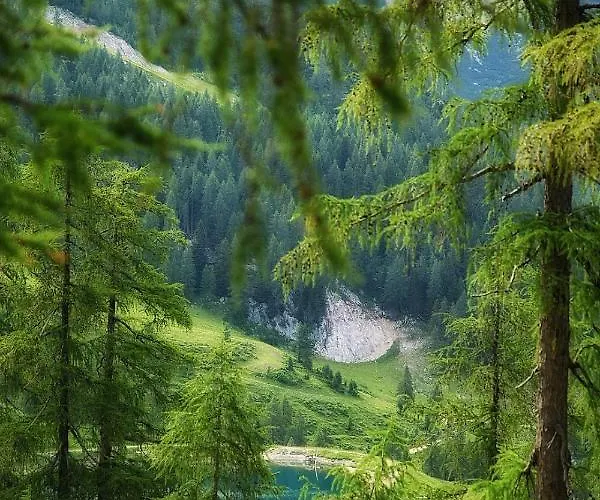 Almhotel Kaernten Hotel