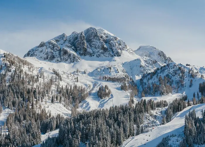 Hotel Almhotel Kaernten 4*
