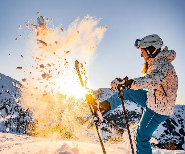 Hotel Almhotel Kaernten