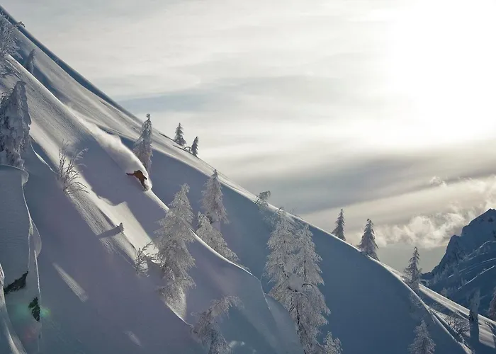 Almhotel Kaernten Hotel Sonnenalpe Nassfeld