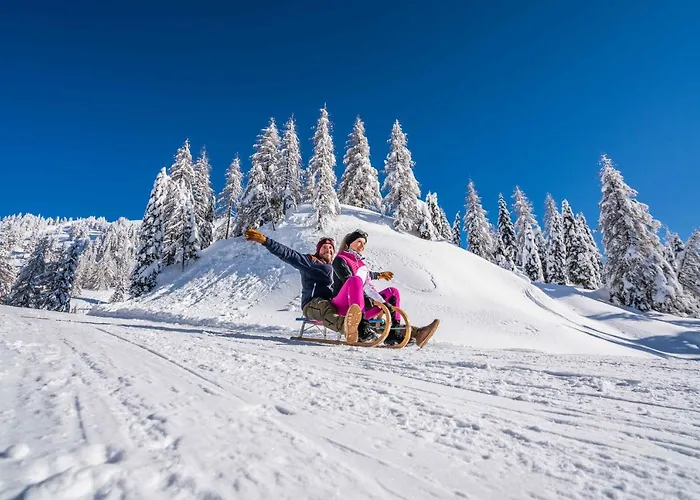 Almhotel Kaernten Hotel