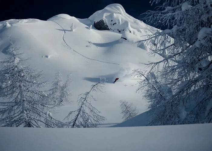 Almhotel Kaernten Hotel