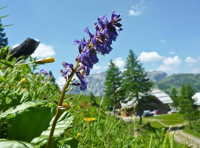 Hotel Almhotel Kaernten Sonnenalpe Nassfeld